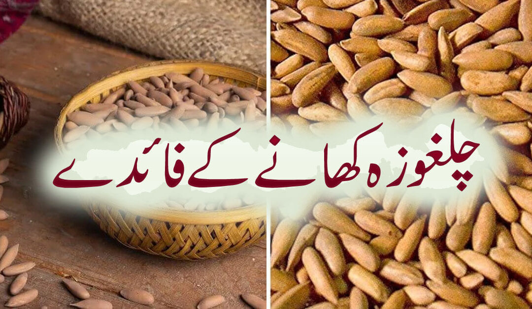 Benefits Of Pine Nuts