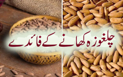 Benefits Of Pine Nuts