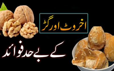 Amazing Benefits of Walnuts And Jaggery