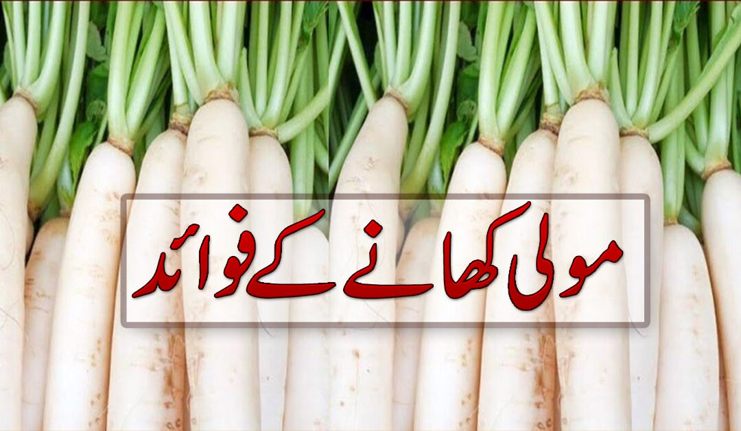 Top Benefits Of Radish for Health