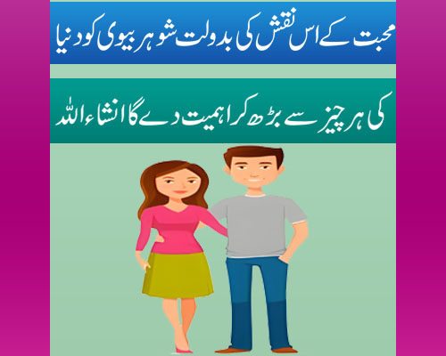 Husband Wife Problem Solution