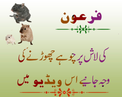 Firon Ka Qissa | Faron Ki Mout Ka  Waqia | Firon Ki Lash Par Chohe