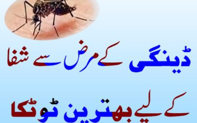 Dengu Se Bachne Ka Behtareen Totka | Powerful Taweez For Dengue Patient |Dengue Fever Treatment At Home