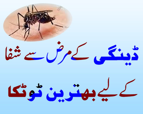 Dengu Se Bachne Ka Behtareen Totka | Powerful Taweez For Dengue Patient |Dengue Fever Treatment At Home